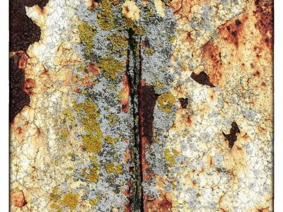 Rost_23