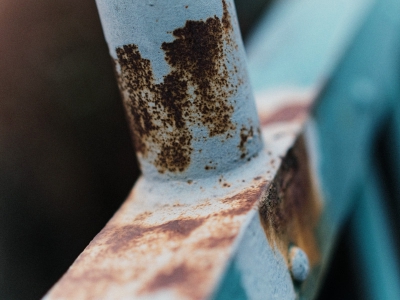 Rost_24