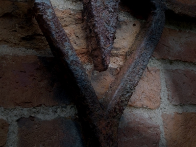 Rost_25