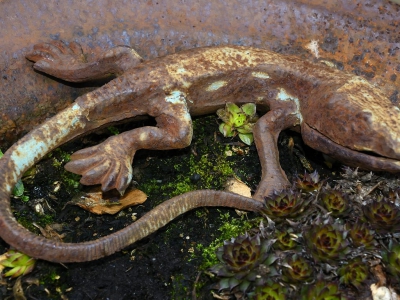 Rost_26