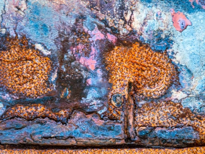 Rost_6