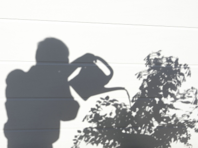 Schatten_20