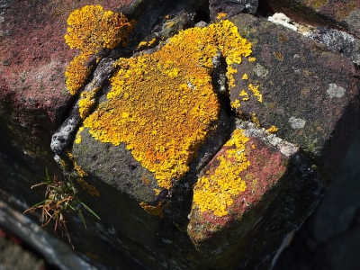 Steine, Felsen, Mauern_9