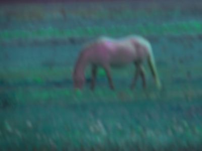 Zauberhaftes_12