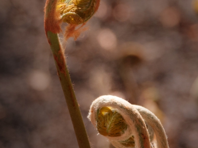 Zauberhaftes_17