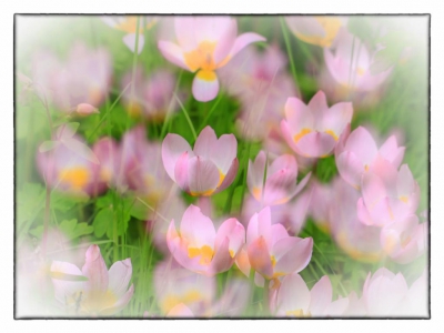 Zauberhaftes_6