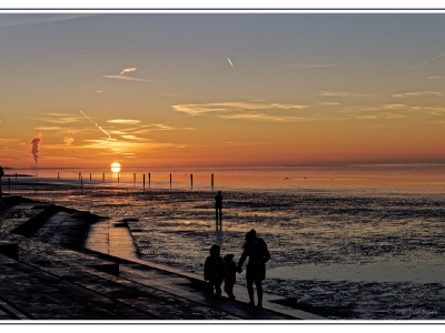 von Manfred_1