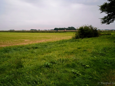 von Manfred_3